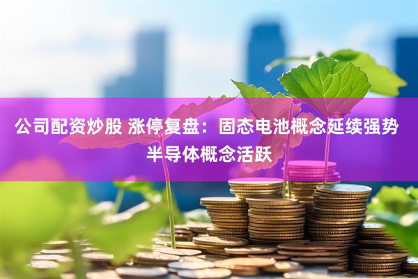 公司配资炒股 涨停复盘:固态电池概念延续强势 半导体概念活跃