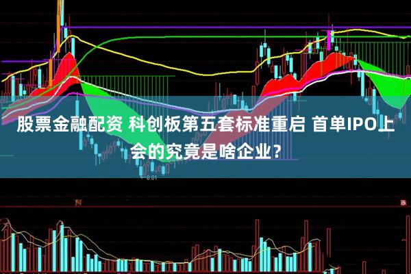股票金融配资 科创板第五套标准重启 首单IPO上会的究竟是啥企业?