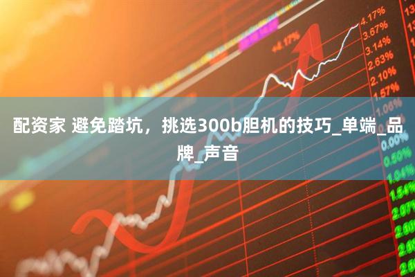 配资家 避免踏坑,挑选300b胆机的技巧_单端_品牌_声音